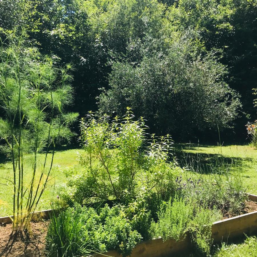 Chambre Calme Sur Terrasse - Proche Canal Nantes A Brest Plessé Εξωτερικό φωτογραφία
